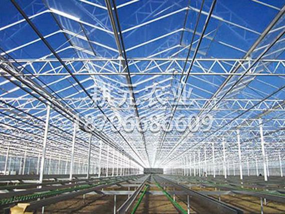 科技賦能現代農業 壽光市耕元農業科技引領溫室農業發展新篇章